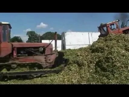 Видео заготовка 5