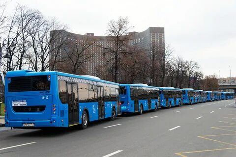 Три автобусные колонны со школьниками