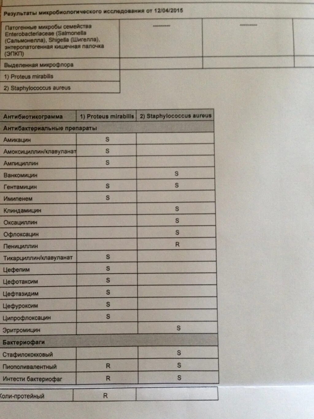 Золотистый стафилококк норма у взрослых. Золотистый стафилококк норма у взрослых