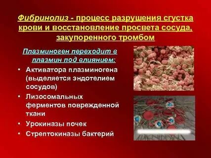 Разрушение ферментов