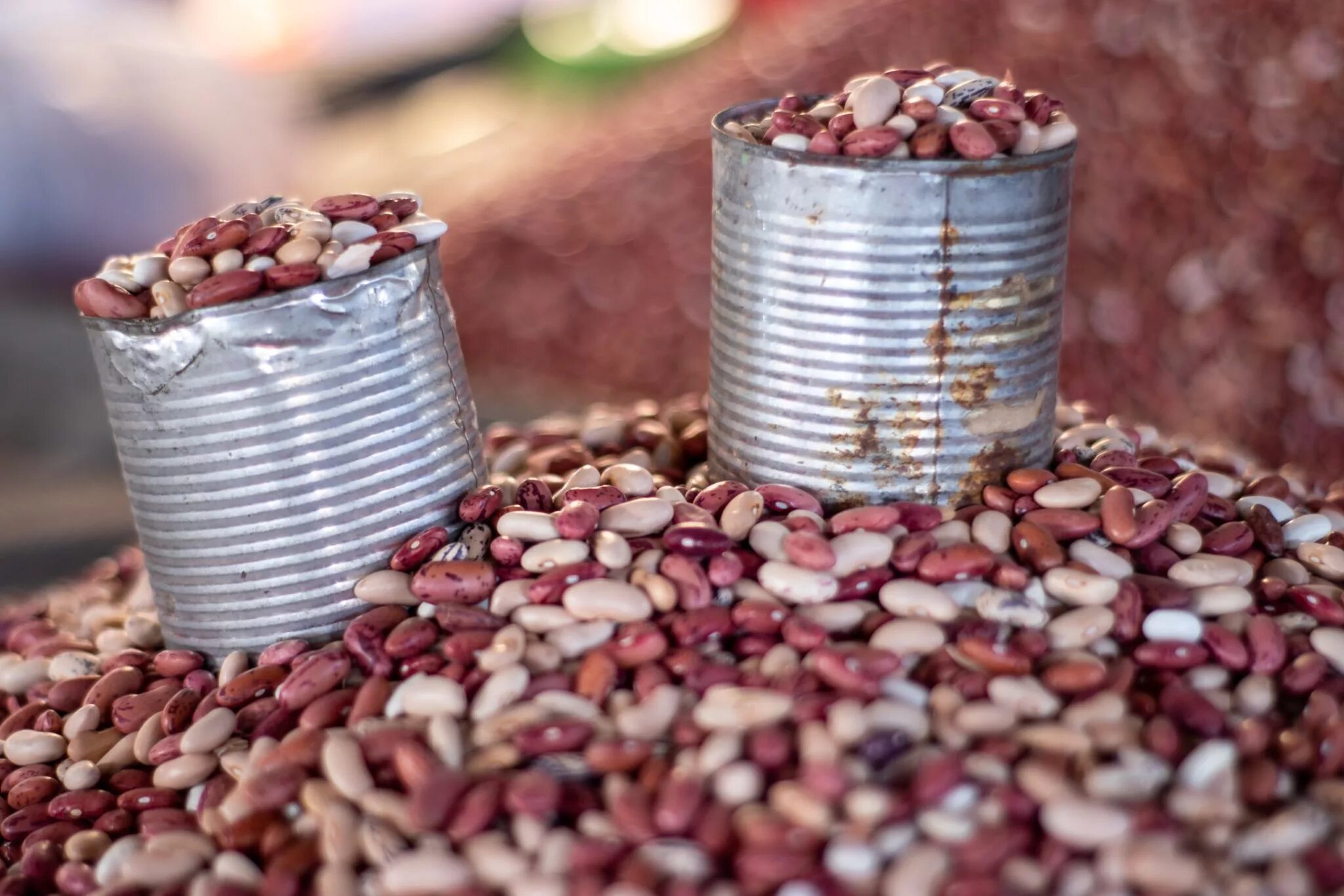 Refresh bean. Банка на природе. банка фасоли. фасоль красная консервированная. beans банка.
