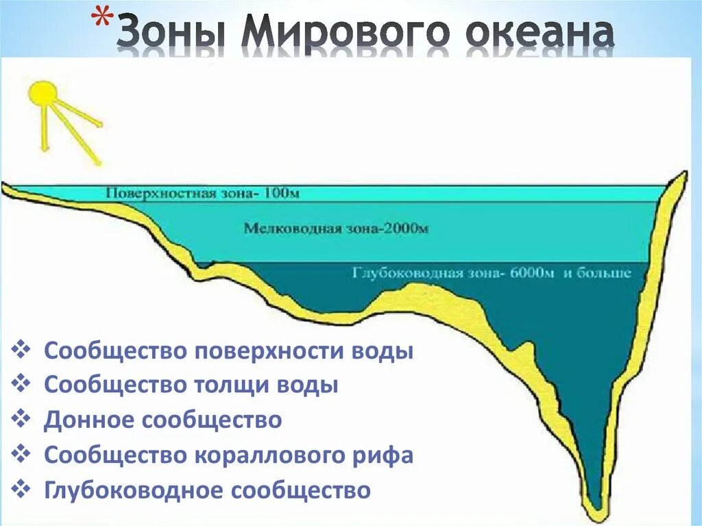 Географические зоны океана. Природные зоны океана. Природные пояса мирового океана. Океанические зоны мирового океана. Широтные зоны мирового океана.