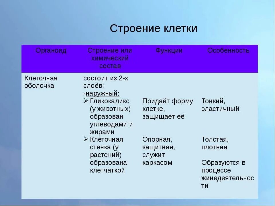 Строение клетки клеточная мембрана таблица. Особенности строения клеточной оболочки. Клеточная оболочка строение и функции. Строение мембраны клетки таблица.