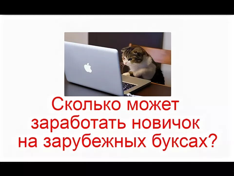 Сколько можно зарабатывать на блоге. Сколько можно зарабатывать на блоге