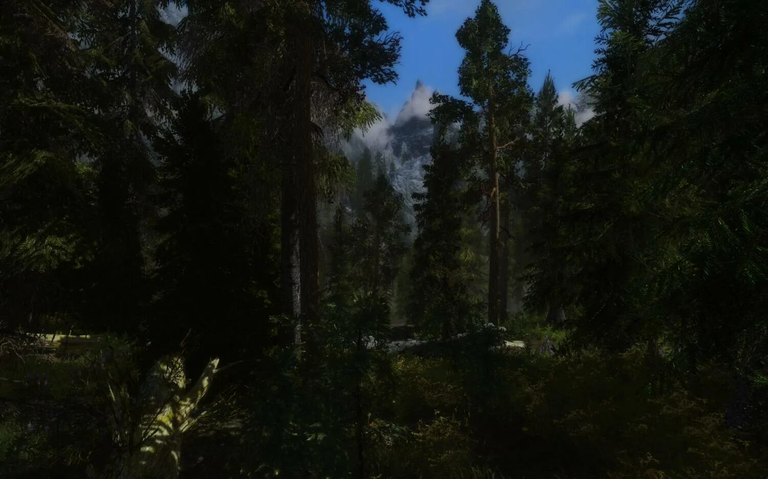 Skyrim se flora. Скайрим flora overhaul le. skyrim flora overhaul. flora overhaul для skyrim se.