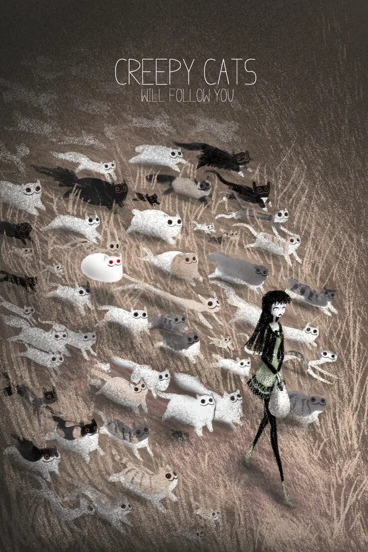 Now only cats will follow me