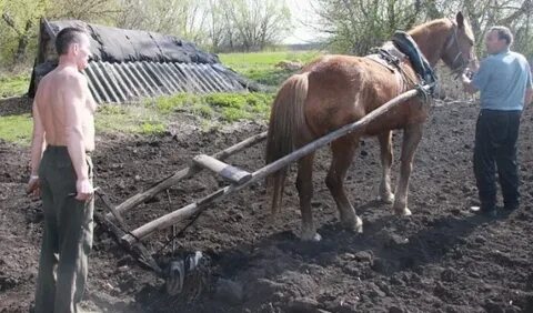 Без пахать