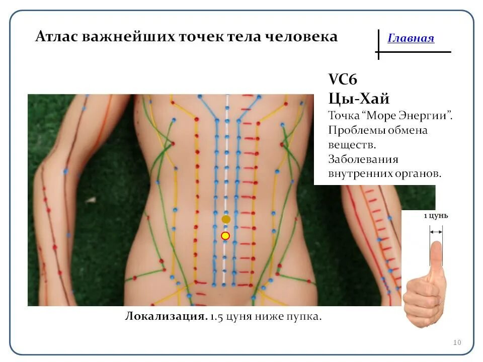 Точка vc4 Гуань-юань. Vc6 точка акупунктуры. Точка Ци Хай. Точка Ци-Хай расположение.