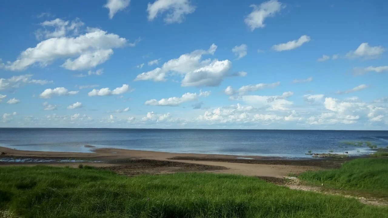 Ильмень Великий Новгород. Пляж Ильмень Великий Новгород. Новгород озеро Ильмень. Озеро Ильмень деревня Ильмень. Киев возник на озере ильмень