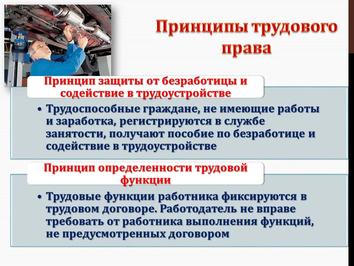 Сообщение о трудовых правах граждан. Принцип защиты от безработицы и содействия в трудоустройстве. Трудовое право.