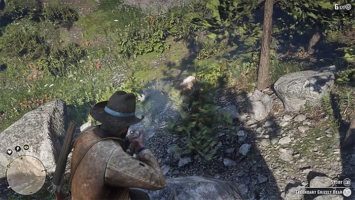 Red Dead Redemption 2 охота на медведя. Red Dead Redemption легендарный медведь. Легендарный медведь РДР 2. Что делать с легендарной шкурой