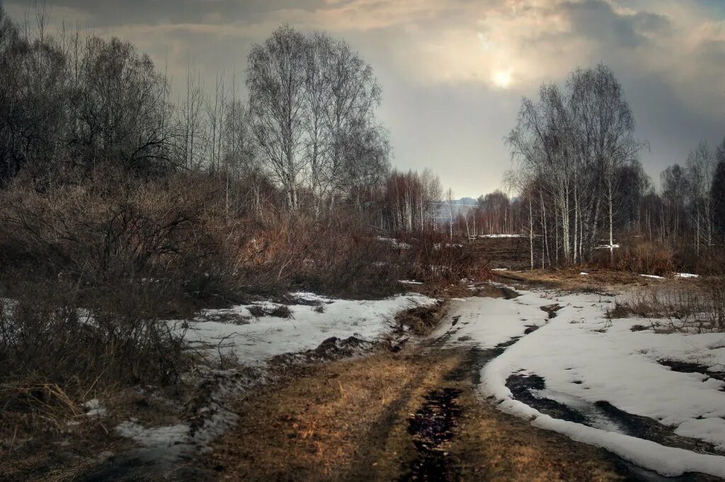 Последний снег в лесу. Пейзаж январь слякоть. Последний снег в апреле. Последний снег стихотворения