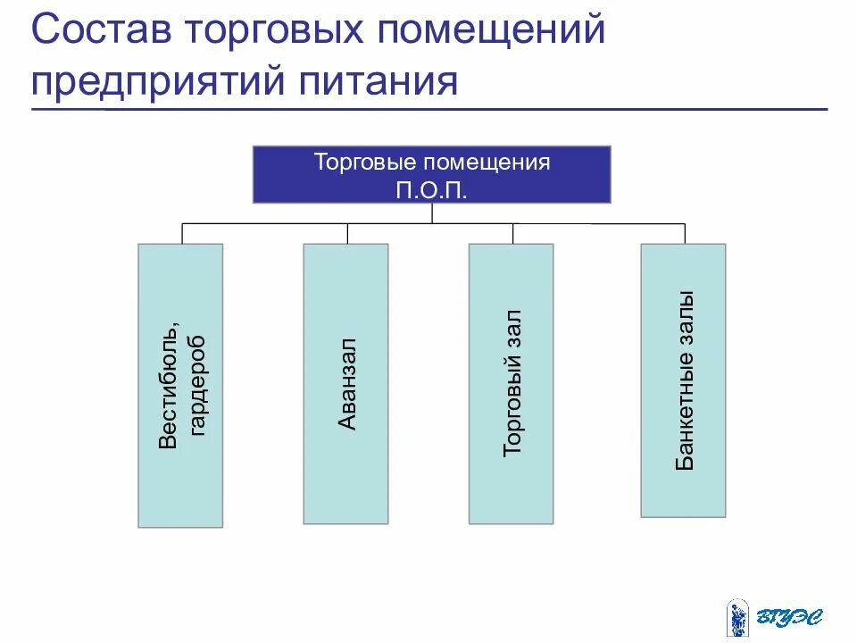 Характеристика торговых помещений. Торговые помещения предприятий общественного питания. Состав помещений предприятия общепита. Состав торговых помещений общественного питания. Торговые организации питания