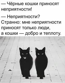 Отправь черный