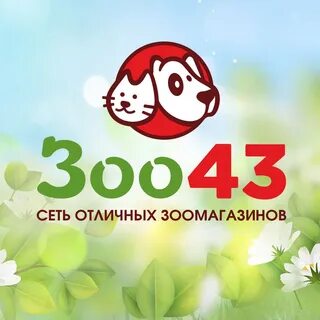 Зоо43