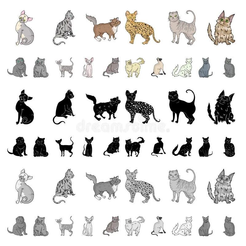 Cat set