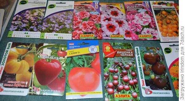 Семена саженцы интернет магазин каталог 2025 года. Семена саженцы интернет магазин каталог 2025 года