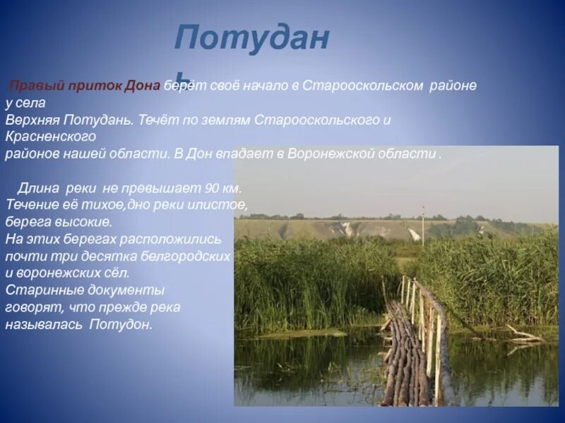 Сообщение о богатстве края. Сообщение о реке оскол. водные объекты белгородской.
