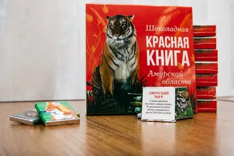 Амурская книги
