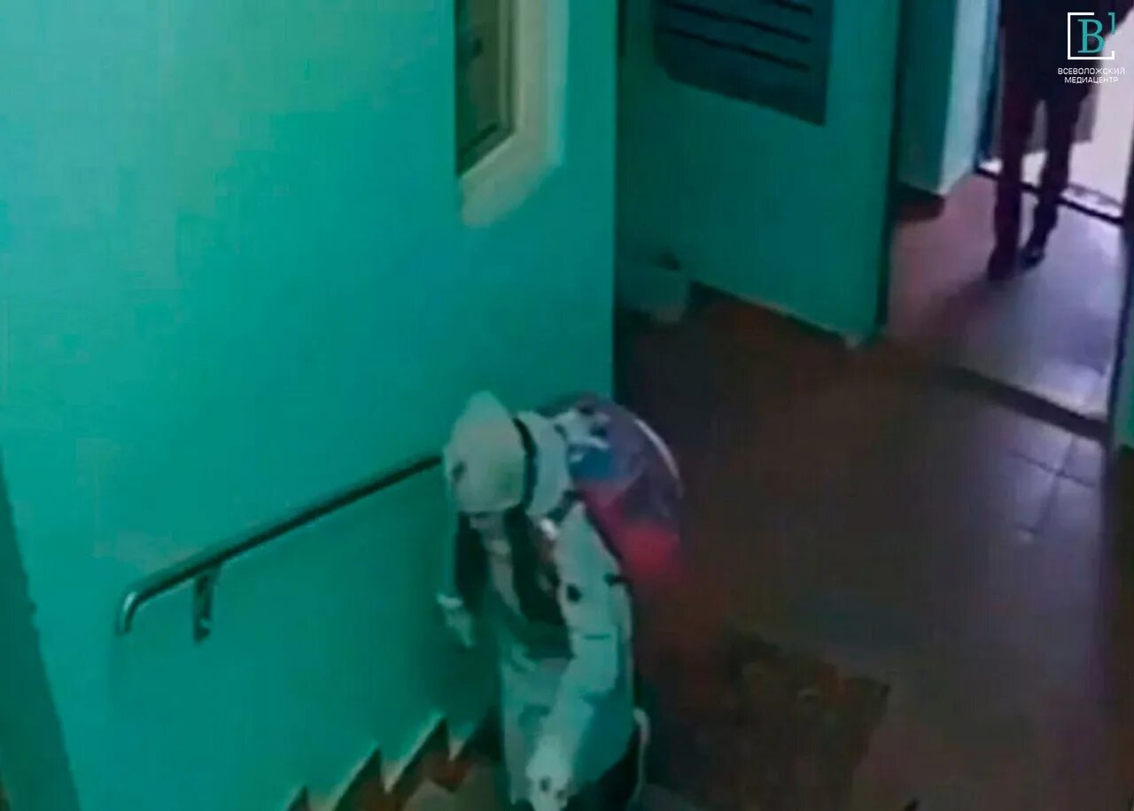 Издевается сосед
