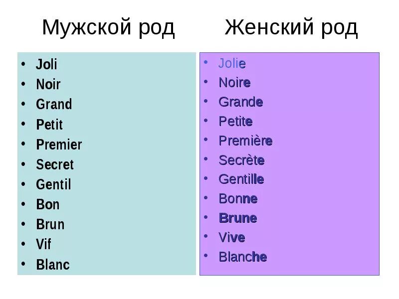 Француз прилагательное. Blanc женский род. Слова женского рода во французском. Мужской и женский род во французском языке. Род слов во французском языке.