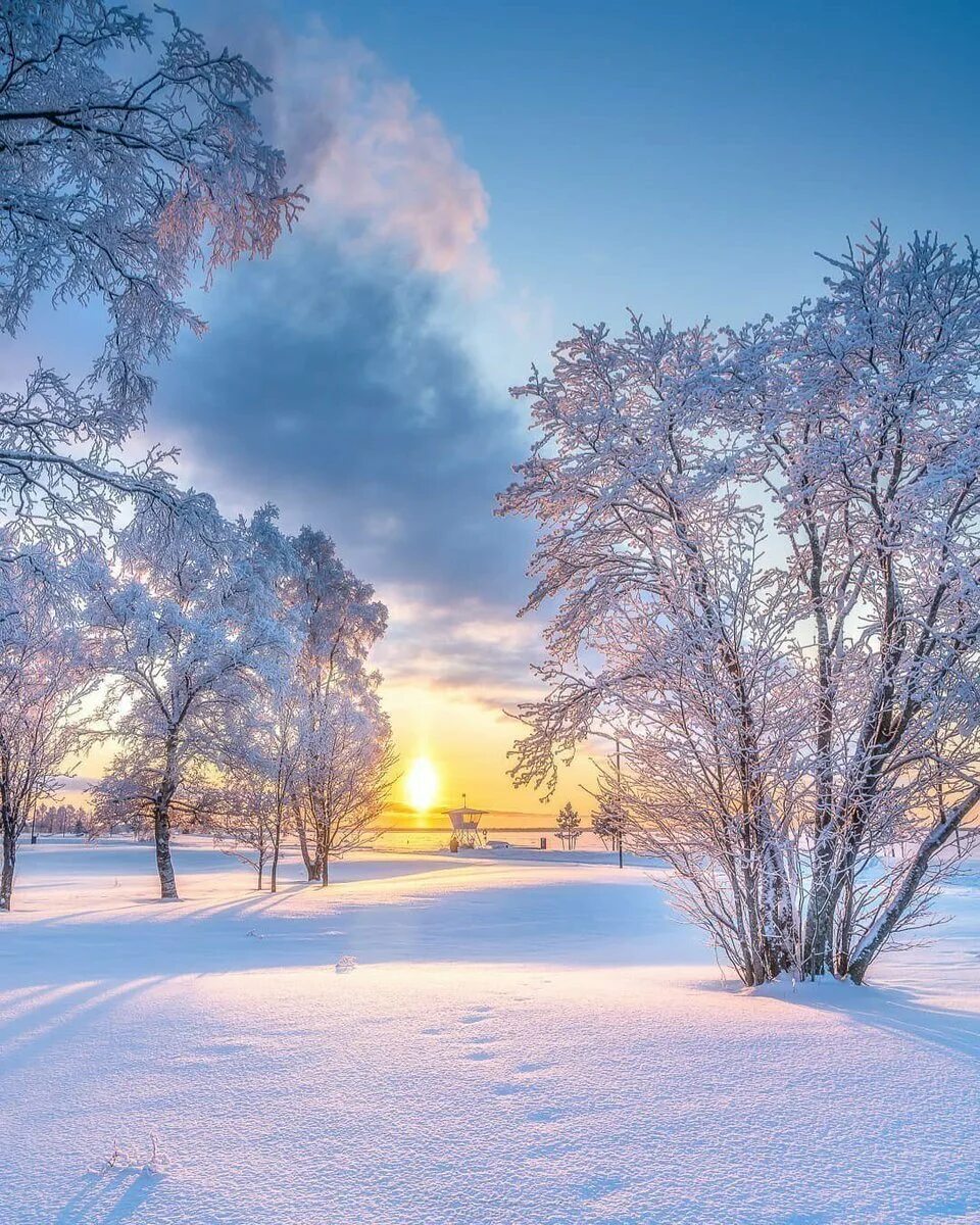 Зимний день зимняя куртка зимнее утро. Зима солнце. Зимнее утро. Утро зима. Рассвет зимой.