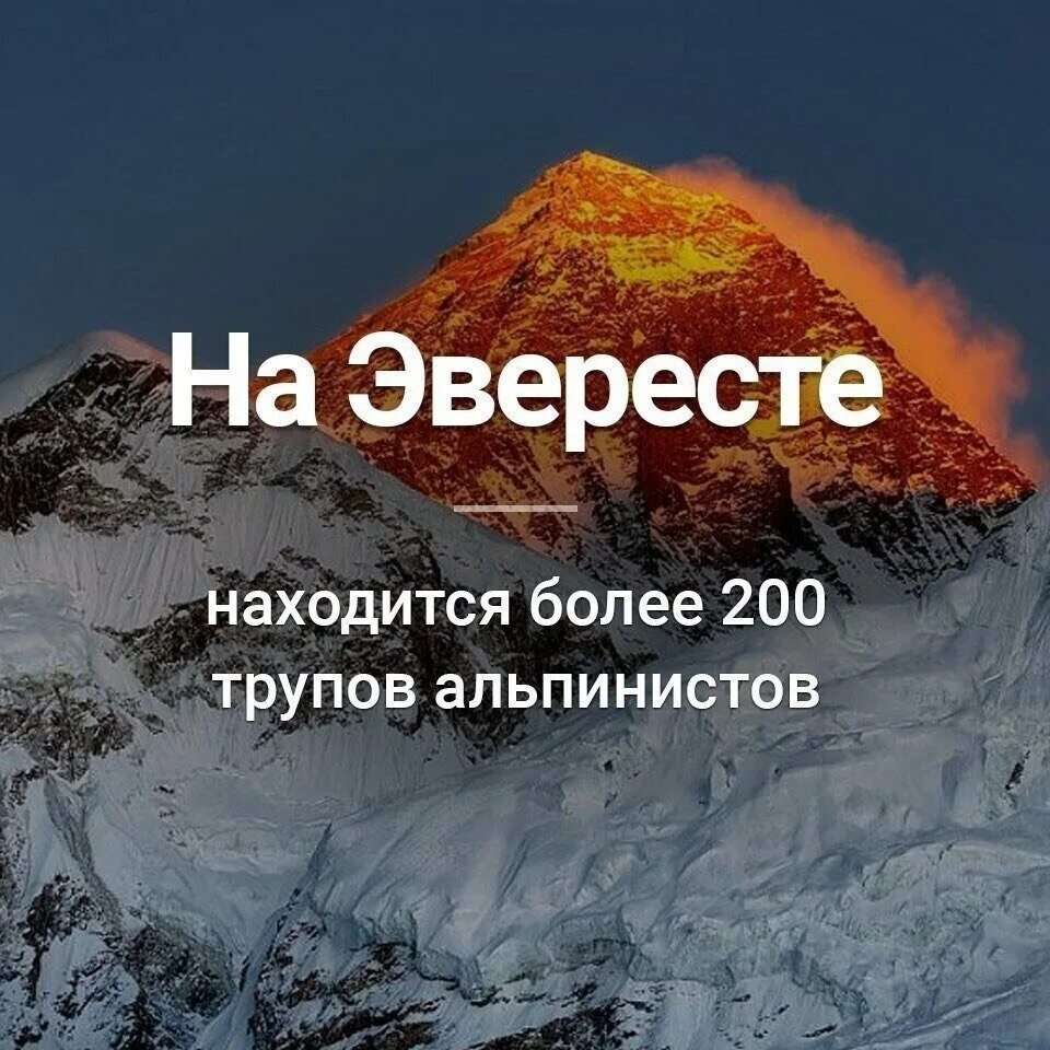 Находится более высоко