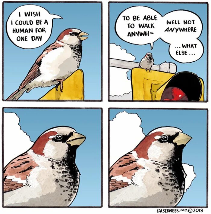 Make me a bird