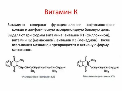 K биологическая роль