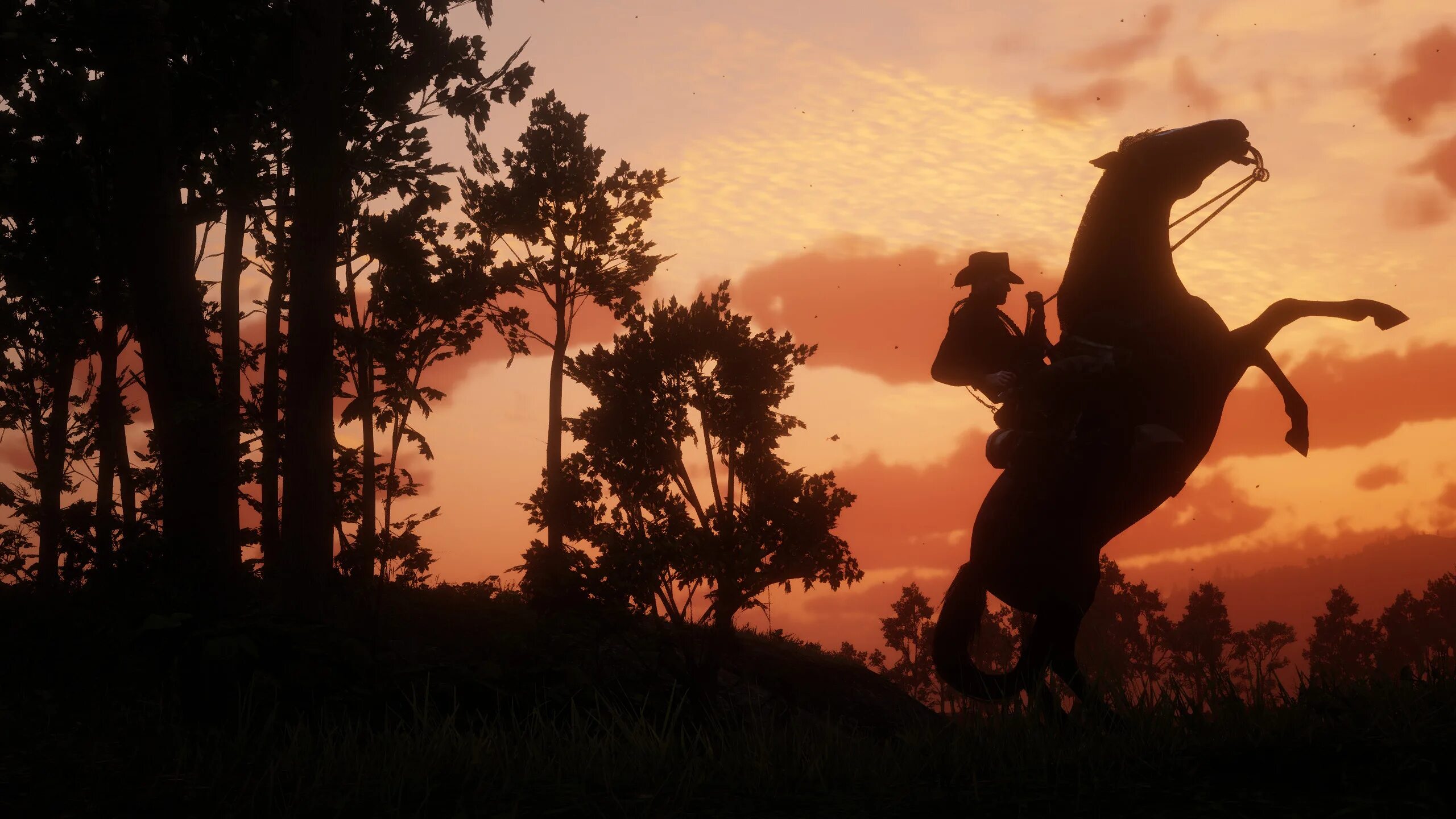 Red Dead Redemption 2. Red Dead Redemption 2 закат. Red Dead Redemption 2 Sunset.