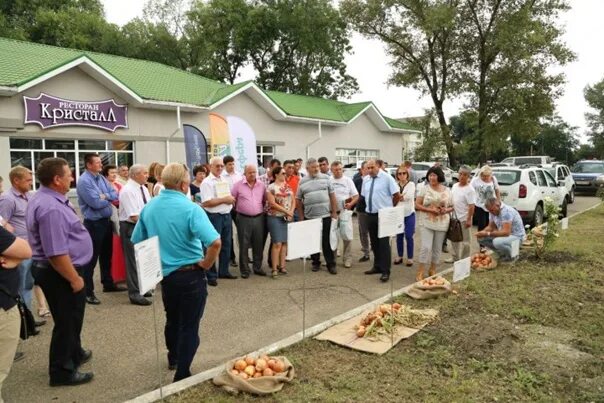 Ставропольский край село овощи. Овощи Ставропольский край. Овощи (село). Село овощи Ставропольский край. Село овощи туркменского района Ставропольского края.