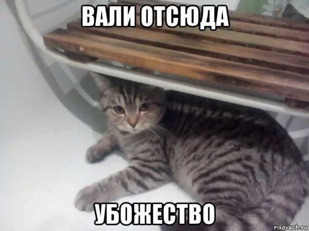 Проваливай отсюда. Мем свали отсюда. вали отсюда картинка. убожество мем. сваливаем отсюда.