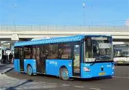 Автобус 473