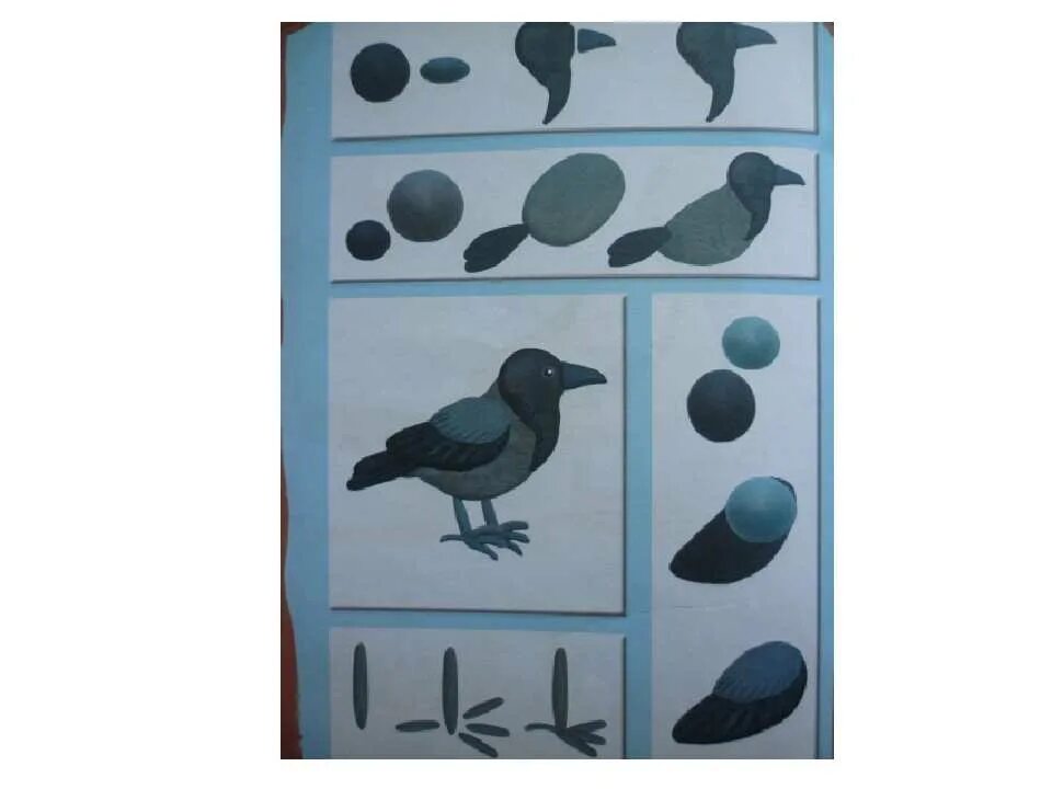 Лепка птицы в подготовительной группе. Конспект лепка птицы. Лепка из пластилина птицы в средней группе. Лепка «птицы на кормушке (воробьи и голуби или вороны и грачи)». Конспект лепка птицы.