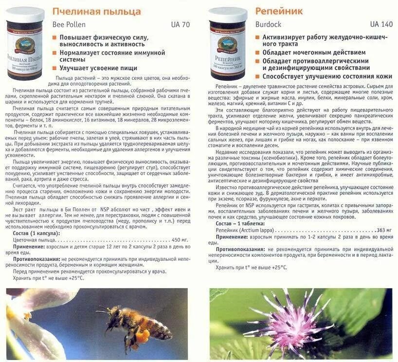 Как правильно принимать пыльцу. Пчелиная пыльца НСП / Bee pollen NSP капсулы инструкция. Пчелиная пыльца для чего. Репейник НСП. Цветочная пыльца НСП.