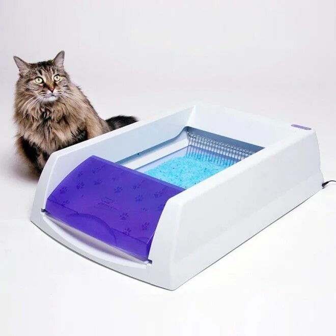 Лоток Xiaomi Cat Litter Box. Automatic Cat Litter Box умный лоток. Кошачий туалет Kopfgescheit. Cclean Cat лоток. Авард для кошек купить