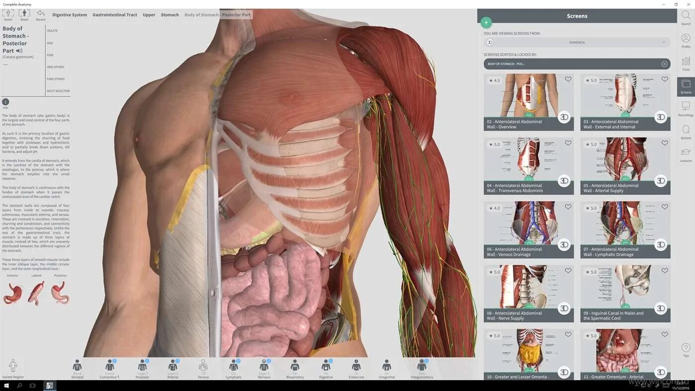 Анатомия человека интерактивный 3д атлас. Анатомический атлас человека 3d тело. 3д атлас анатомии человека органы. Программа анатомия человека 3d.