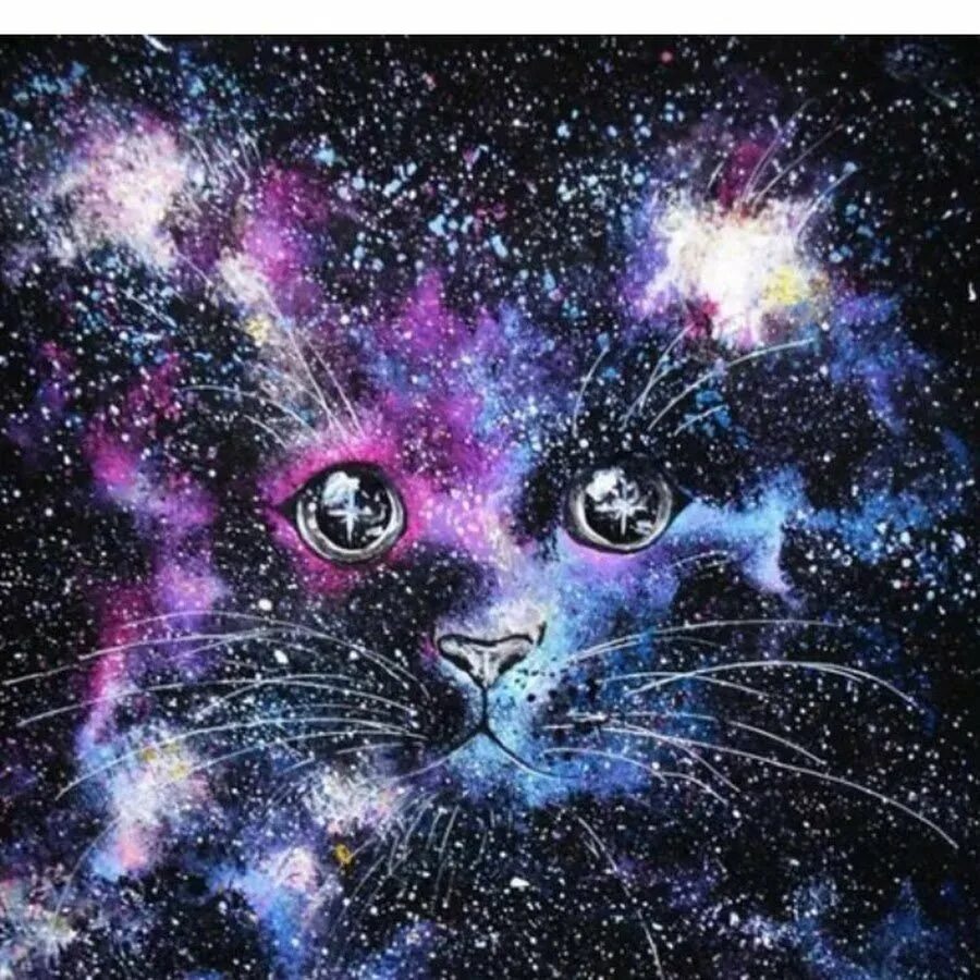 Космический кот. Кот в космосе. Котенок в космосе. Вселенная кошек. Кот в космосе рисунок