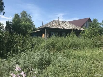 Ивановка алтайский