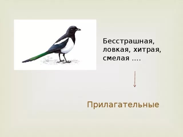 Синквейн выскочка пришвин 4 класс. Выскочка сорока. Выскочка 4 класс сорока. Характеристика рассказа выскочка.