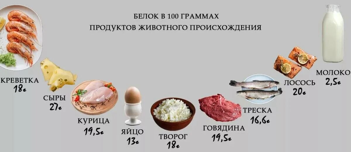 Белок в протеине сколько грамм. Белок в граммах в продуктах. Продукты содержащие белки. Высокобелковые продукты. Белки в продуктах питания.