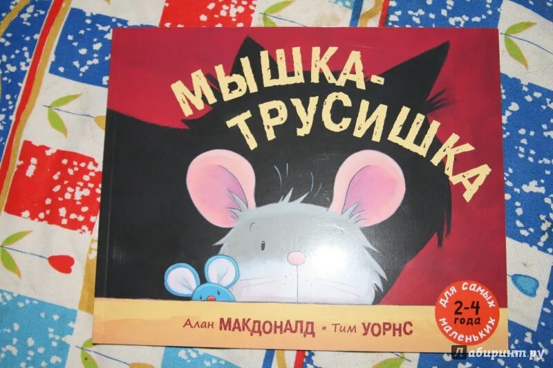 Книга про мышь. Мышка и трусишка книга. Мышка трусишка. Сказка про мышку трусишку.