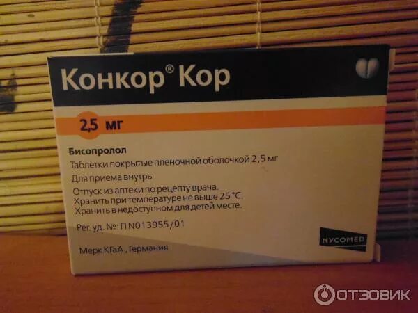 Какой бывает конкор. Какой бывает конкор