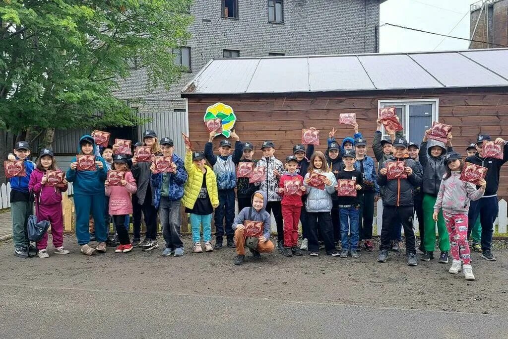 Сайт 27 мурманск. Лагерь на севере жить Мурманск. Магнетиты Мурманская область лагерь на севере жить. Мурманск экскурсии. Магнетиты Мурманская область лагерь.