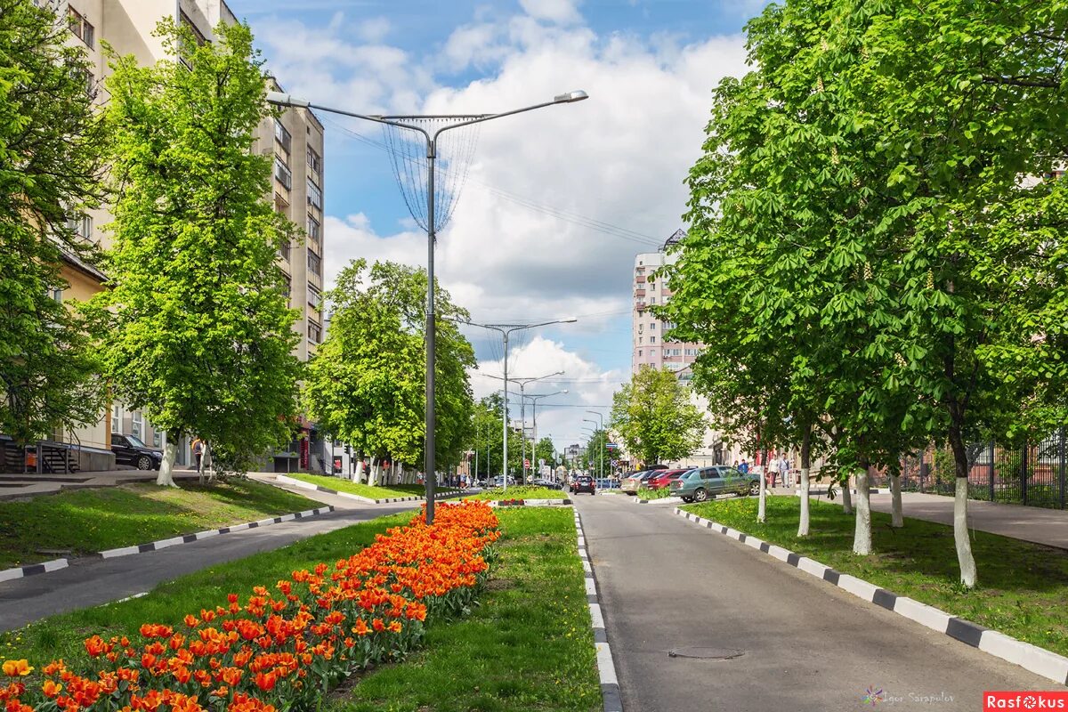 Улица 50 летия Белгородской области. Улица Весенняя Белгород. Улица 50 летия Белгородской области Белгород. Белгород весной улицы.