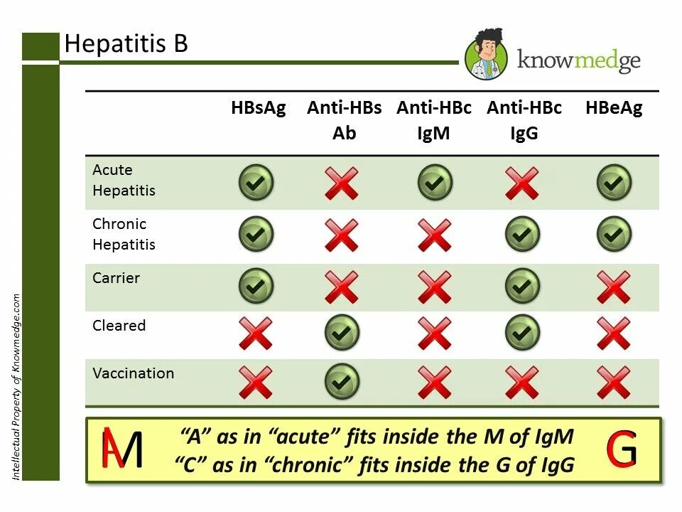 Hbs сдать. Анти hbsag. анти hbs положительный hbsag отрицательный. anti-hbc антитела что это. hbsag гепатит в.