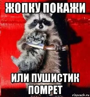 Скинь денег мем