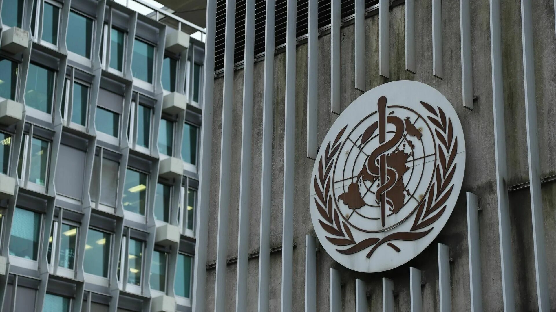 Заседание воз. Воз фото. Директор воз. Воз фото. Всемирная организация здравоохранения воз.