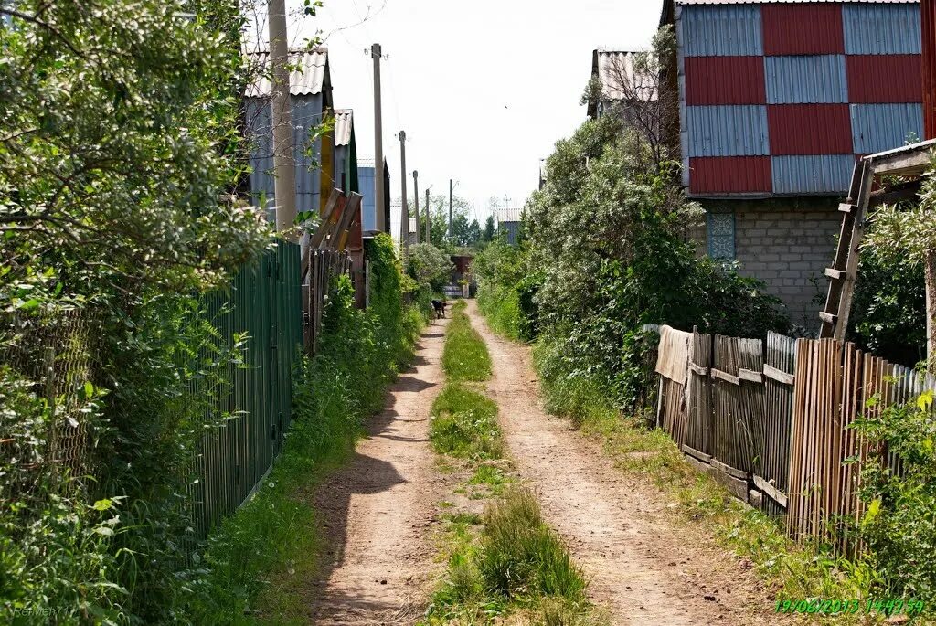 Тракторосад 3 куплю. Тракторосад 4 Челябинск. Сады в Чурилово Челябинск в Тракторосаде 4. Тракторосад 3. Тракторосад 2.