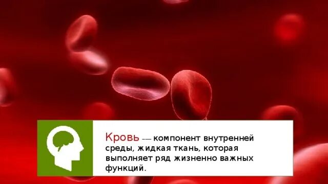 Плохая кровь печень. Состав крови постоянство внутренней среды. Состав крови постоянство внутренней среды 8 класс видеоурок.